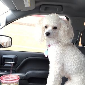 Meet your Posher, Esperanza